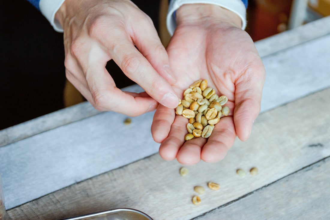 LEOのコーヒーが最高においしい理由｜ハンドピックと生豆のクオリティ